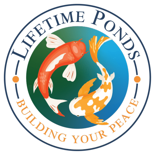 LifeTime Ponds ltd